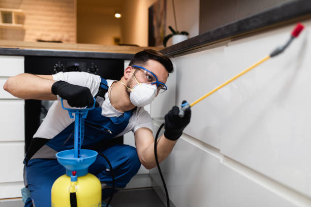 Best Cockroach Control Services  in Janesville, CA