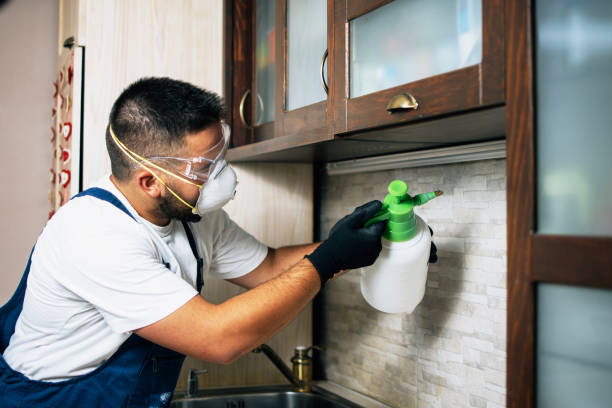 Best Flea Control Services  in Janesville, CA