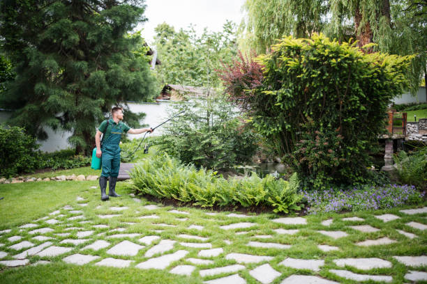 Best Best Pest Control Near Me  in Janesville, CA