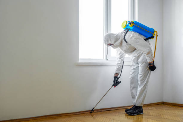 Best Rat Extermination Near Me  in Janesville, CA
