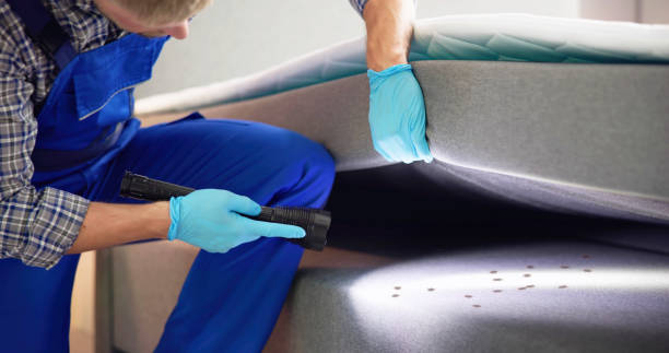 Best Mosquito Control Services  in Janesville, CA