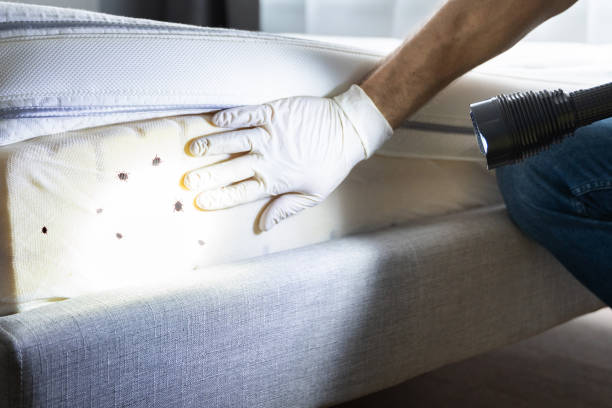 Best Best Pest Control Companies  in Janesville, CA